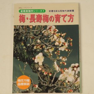 Photo1: Ume & Tyouzyubai no sodatekata(Bonsai manual book)