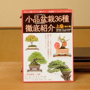 Photo1: Small Bonsai manual book(the first volume)