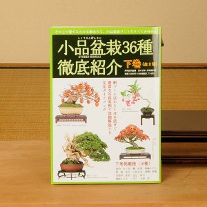 Photo1: Small Bonsai manual book(the second volume)