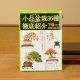 Small Bonsai manual book(the second volume)