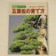 Goyomatsu no sodatekata(Bonsai pinus parviflora manual book)
