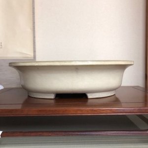 Photo1: Oval(yamahusa)　52.0cm
