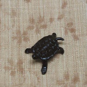 Photo1: Turtle