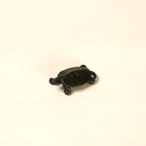 Photo1: Turtle(S)