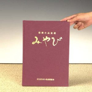 Photo1: Miyabi(Gafu-ten speciall book)