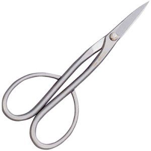 Photo: Shears  827