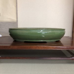 Photo: Oval(hattori)　46.0cm