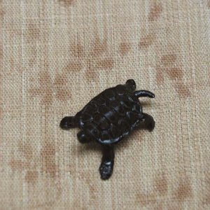 Photo: Turtle