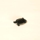 Photo: Turtle(S)