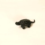 Photo: Turtle(L)