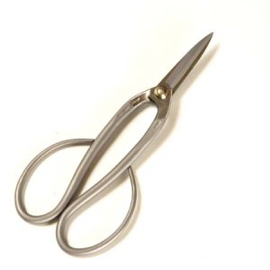 Photo: Shears  829