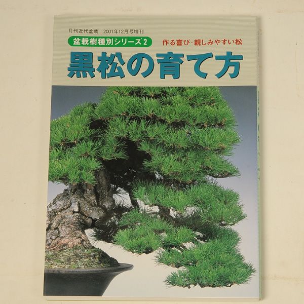 Photo1: Kuromatsu no sodatekata(Bonsai black pine manual book)