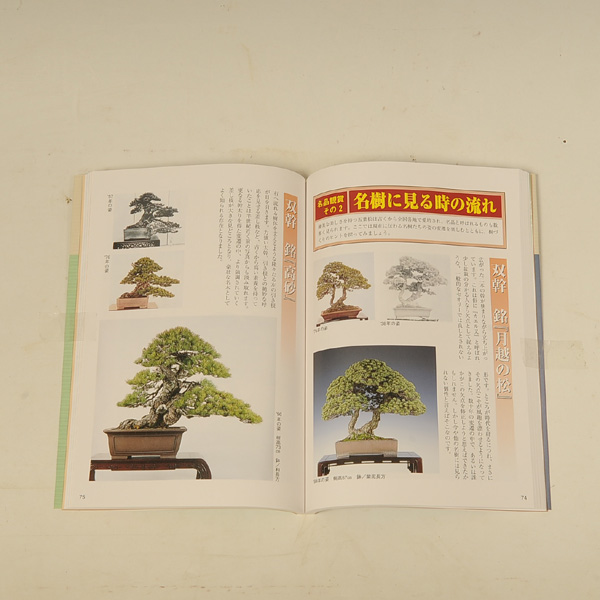 Photo: Goyomatsu no sodatekata(Bonsai pinus parviflora manual book)