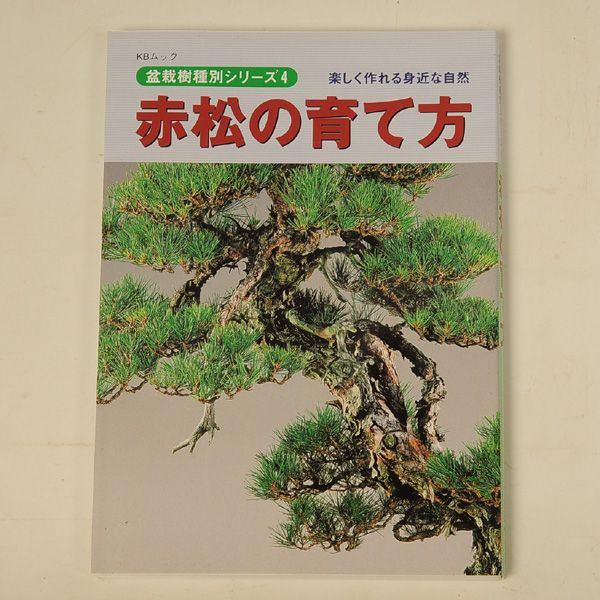 Photo1: Akamatsu no sodatekata(Bonsai red pine manual book)