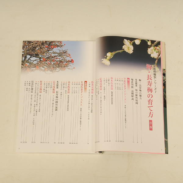 Photo: Ume & Tyouzyubai no sodatekata(Bonsai manual book)