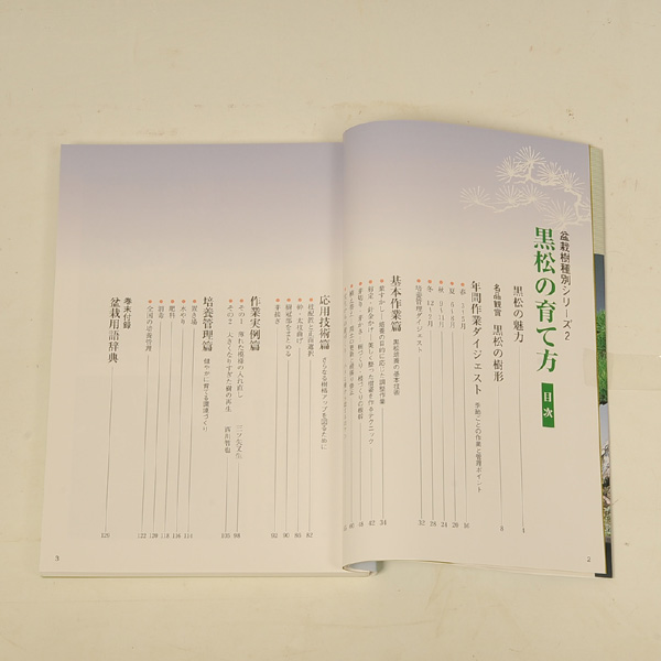Photo: Kuromatsu no sodatekata(Bonsai black pine manual book)