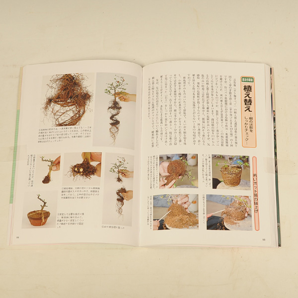 Photo: Ume & Tyouzyubai no sodatekata(Bonsai manual book)