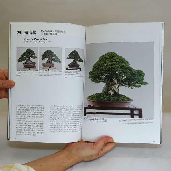 Photo3: The Bonsai Mosterpiece Collection  Vol.1