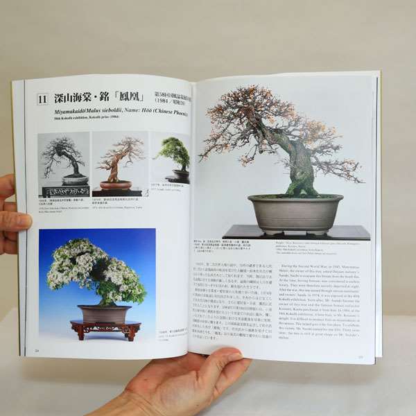 Photo2: The Bonsai Mosterpiece Collection  Vol.1
