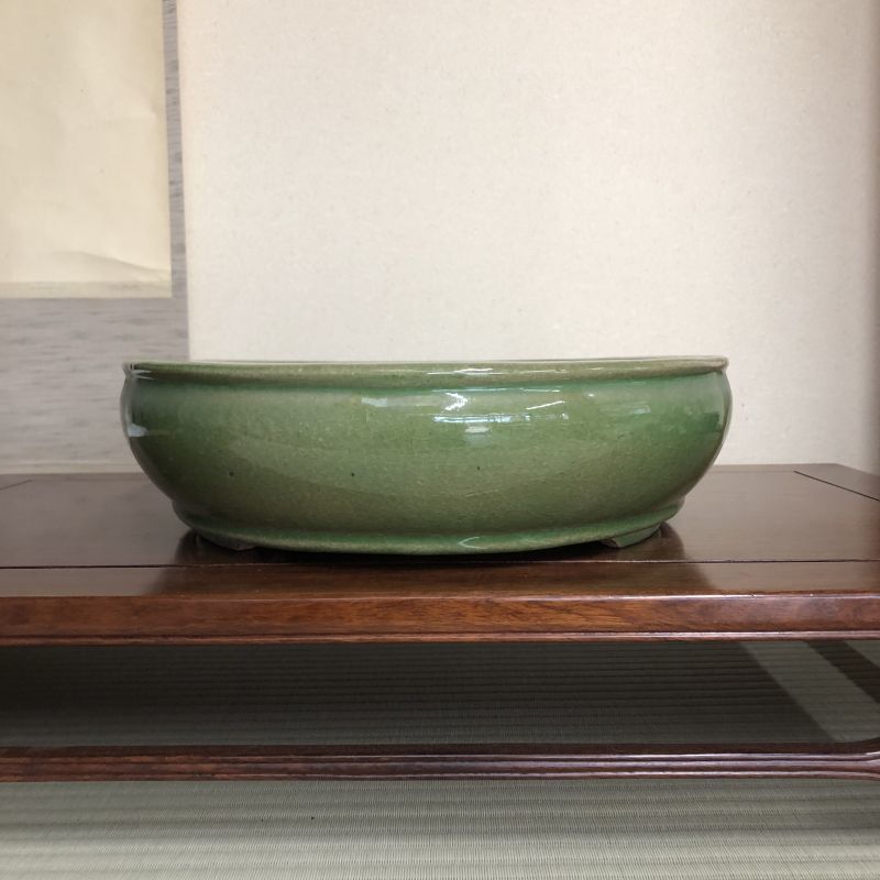 Photo: Oval(hattori)　46.0cm