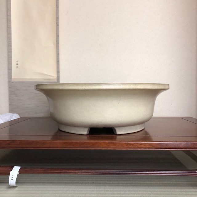 Photo: Oval(yamahusa)　52.0cm