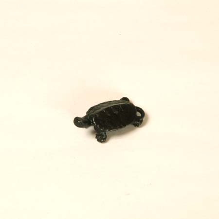 Photo1: Turtle(S)